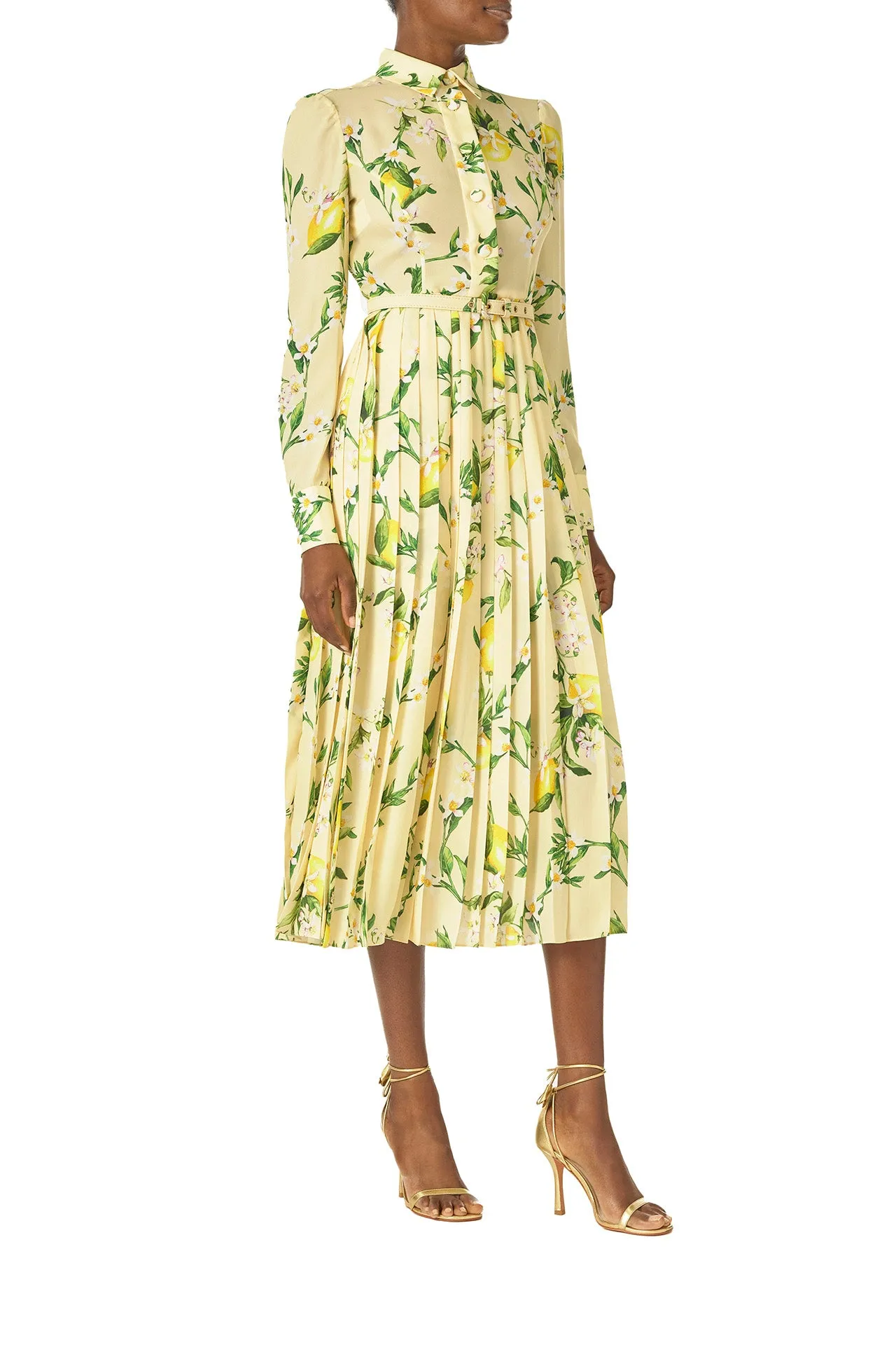 Pleated Button-Down Dress