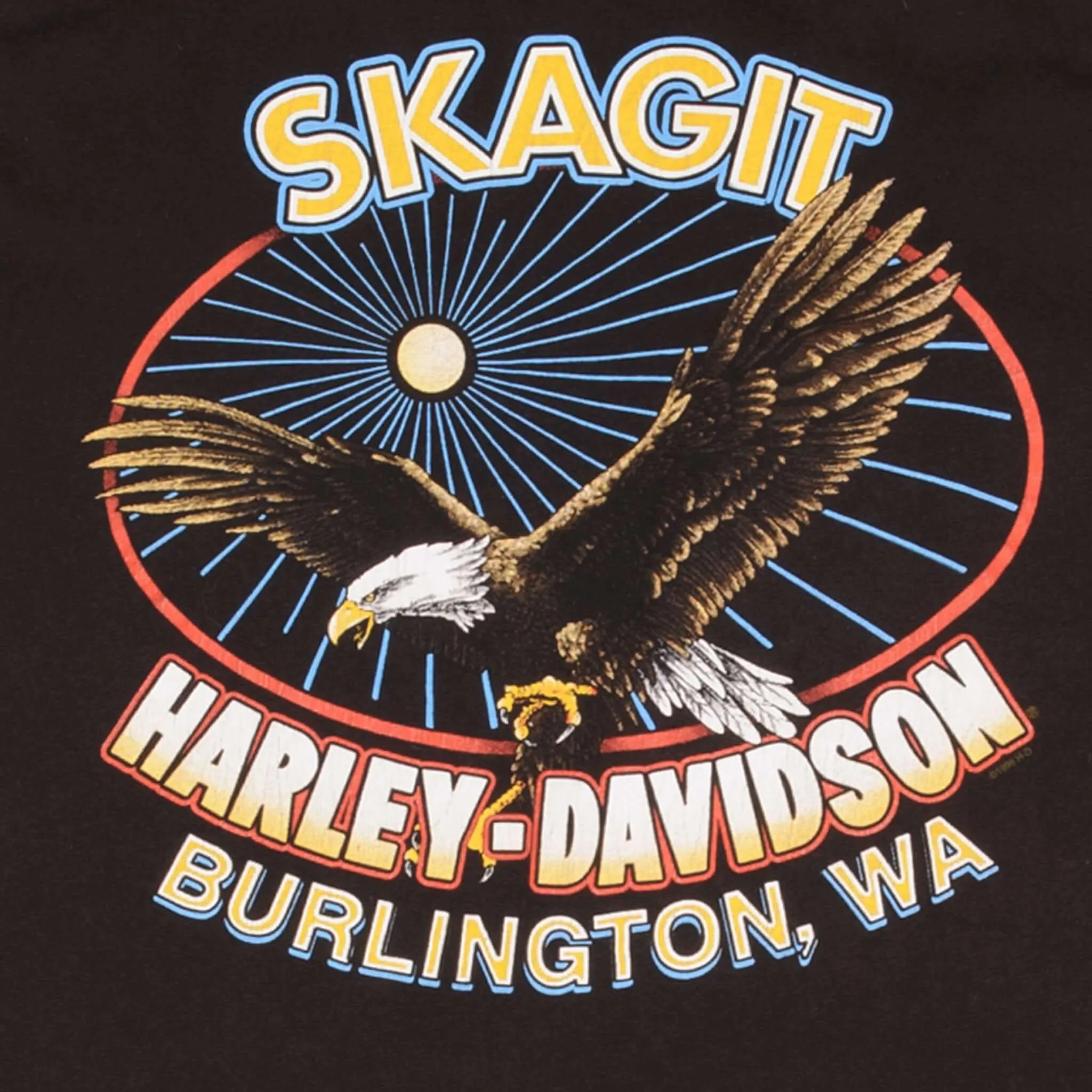 VINTAGE HARLEY DAVIDSON SKAGIT TANK TOP TEE SHIRT 1998 SIZE 2XL MADE IN USA
